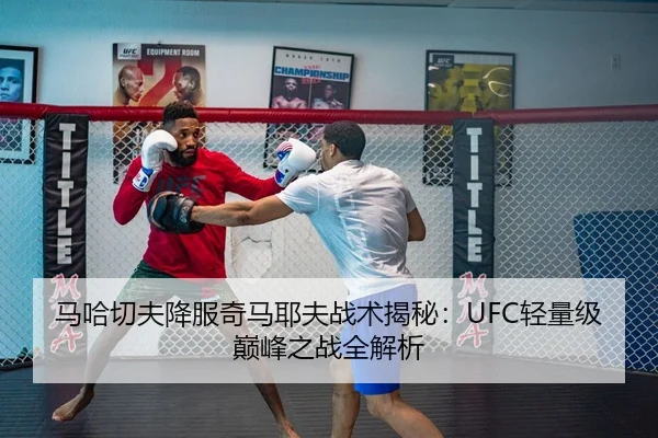 马哈切夫降服奇马耶夫战术揭秘：UFC轻量级巅峰之战全解析