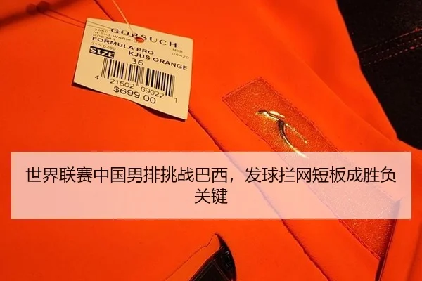 shi-jie-lian-sai-zhong-guo-nan-pai-tiao-zhan-ba-xi-fa-qiu-lan-wang-duan-ban-cheng-sheng-fu-guan-jian-3-942.jpg