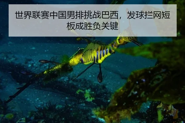 世界联赛中国男排挑战巴西，发球拦网短板成胜负关键