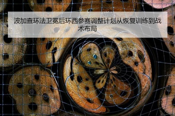 bo-jia-cha-huan-fa-wei-mian-hou-huan-xi-can-sai-tiao-zheng-ji-hua-cong-hui-fu-xun-lian-dao-zhan-shu-bu-ju-3-181.jpg
