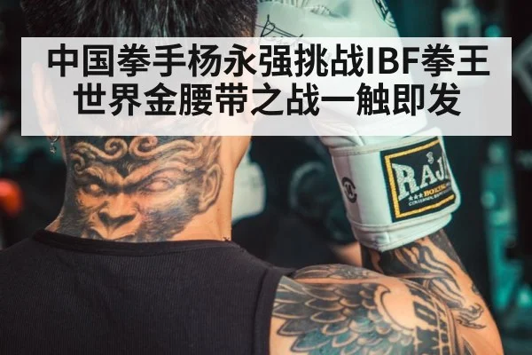 中国拳手杨永强挑战IBF拳王世界金腰带之战一触即发