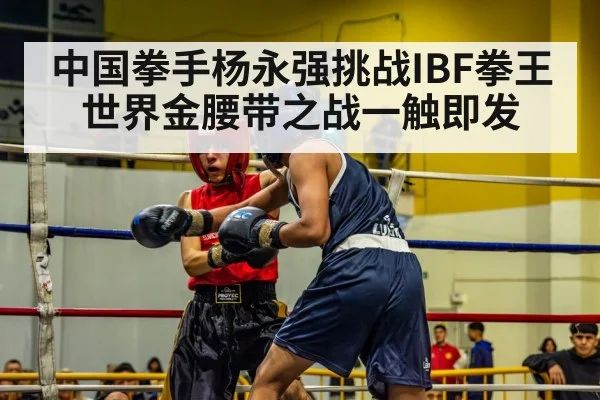 boxing match ring